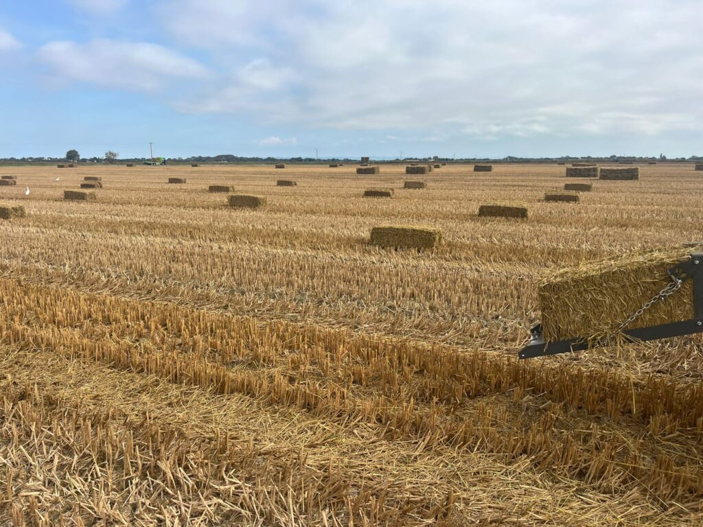 Bottes de paille de riz