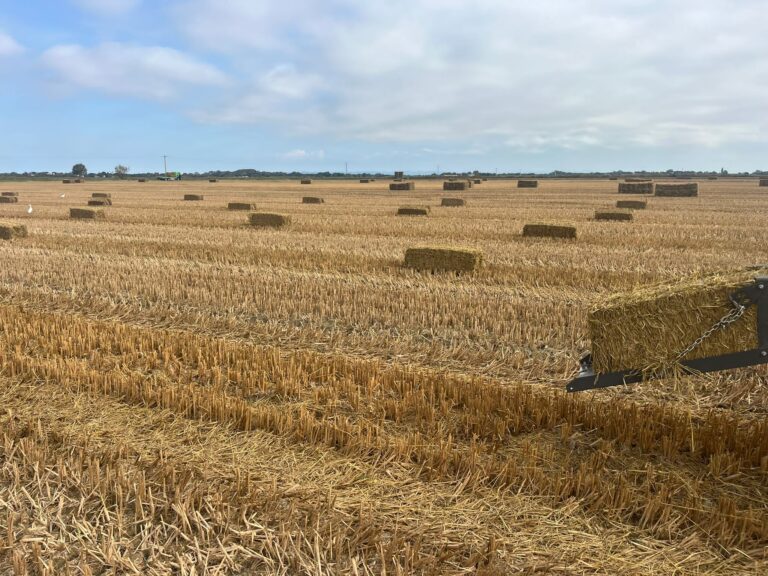 Bottes de paille de riz